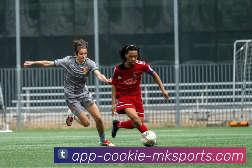 MK体育APP品牌故事